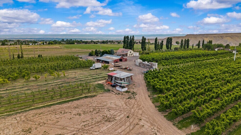 More Photos Of 20809 Nowhere Rd, Eckert Land For Sale