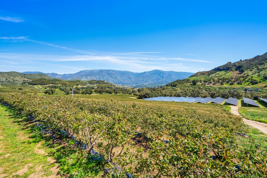 More Photos Of 14224 Old Cole Grade Rd, Pauma Valley Land For Sale