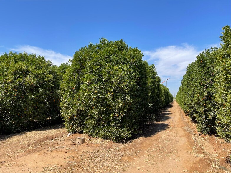 Orange Cove area, Orange Cove, CA 93646 Land For Sale