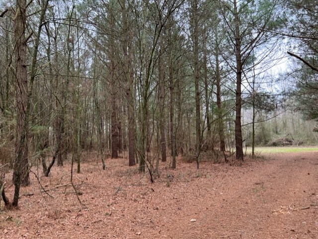 More Photos Of 4298 McColley Rd, Milford Land For Sale