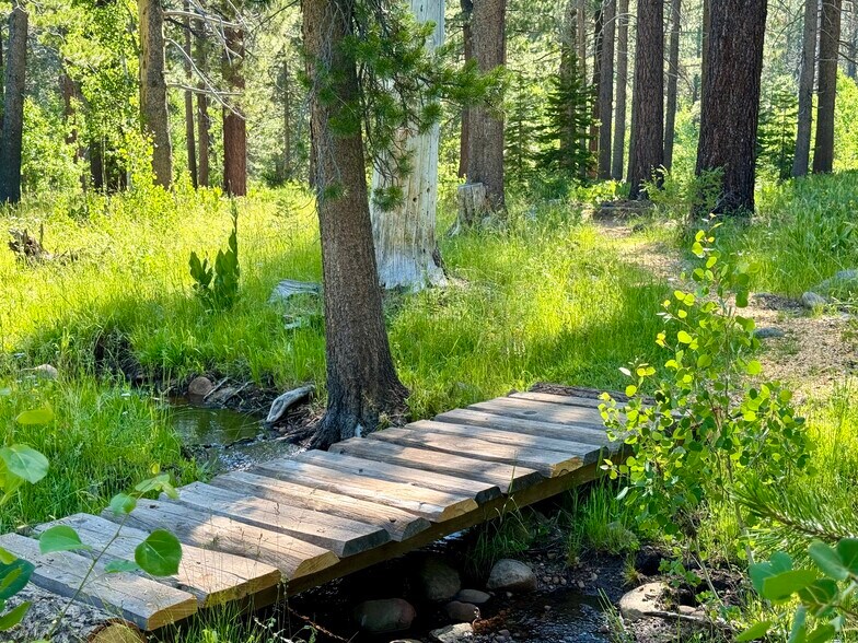 More Photos Of 320 Independence Lake Rd, Sierraville Lodge Meeting Hall For Sale