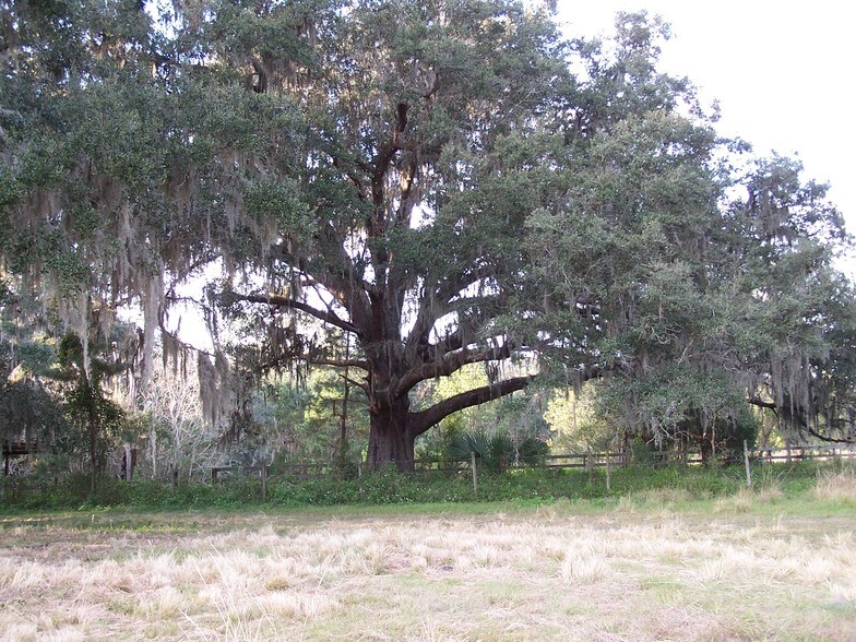 More Photos Of Powell Rd, Brooksville Land For Sale