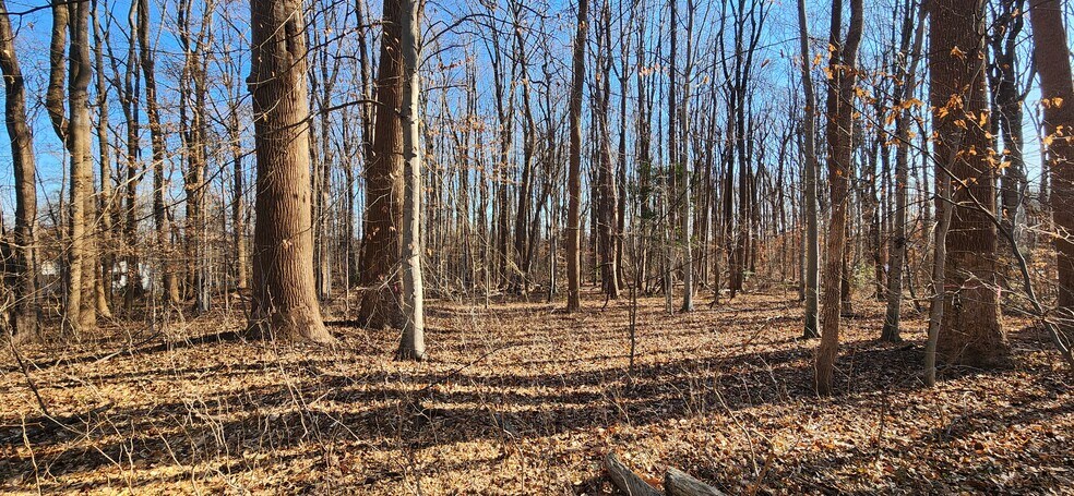 More Photos Of Robert Crain Hwy N, Bowie Land For Sale