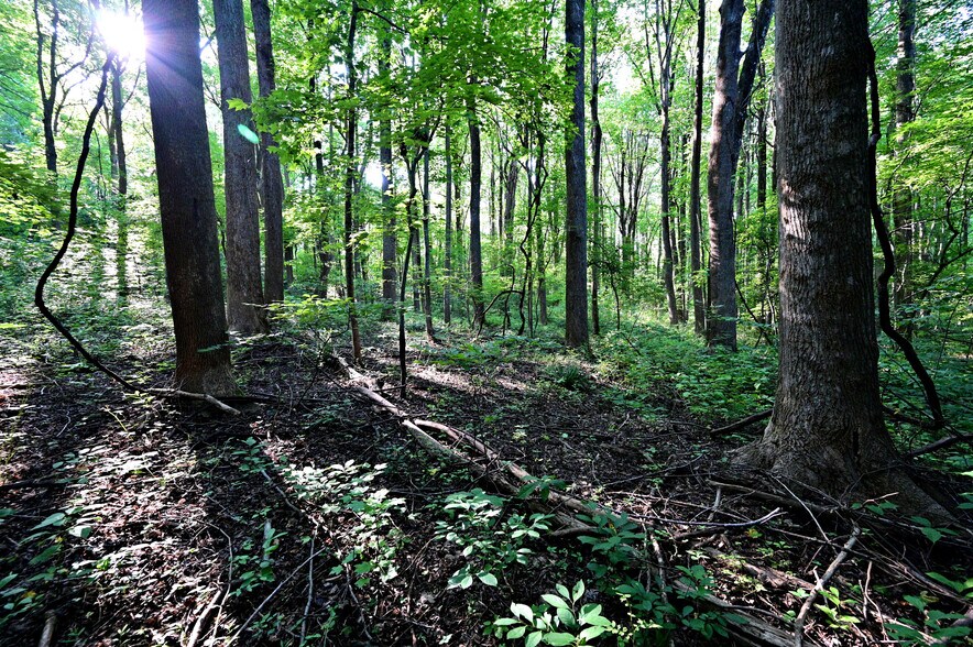 More Photos Of Richard Allen St, Aquasco Land For Sale