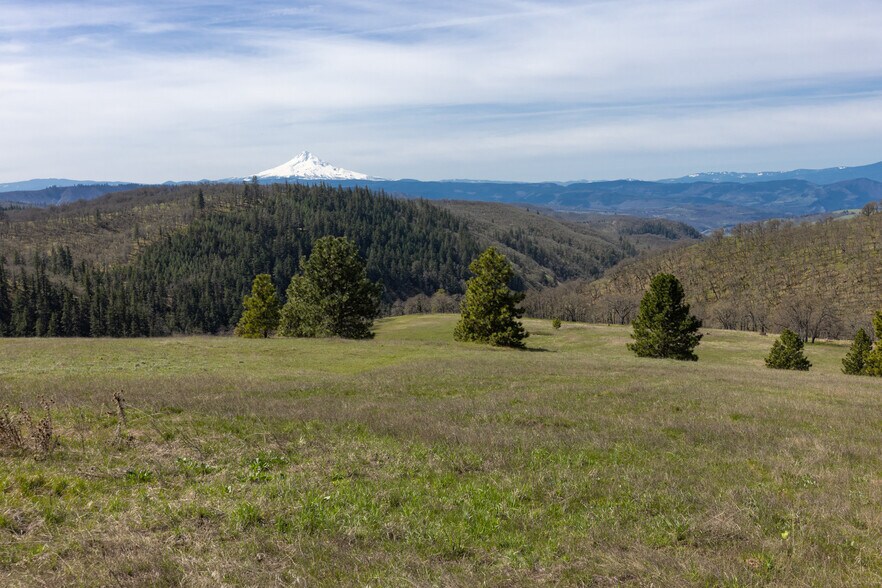 More Photos Of 60 Hartwig Road, Lyle Land For Sale