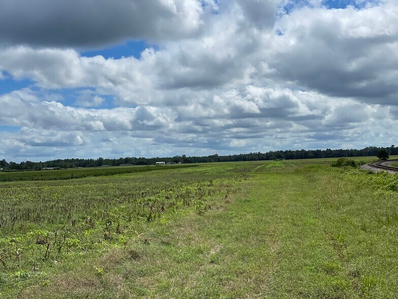 More Photos Of 5700 Pine Forest Rd, Walnut Hill Land For Sale