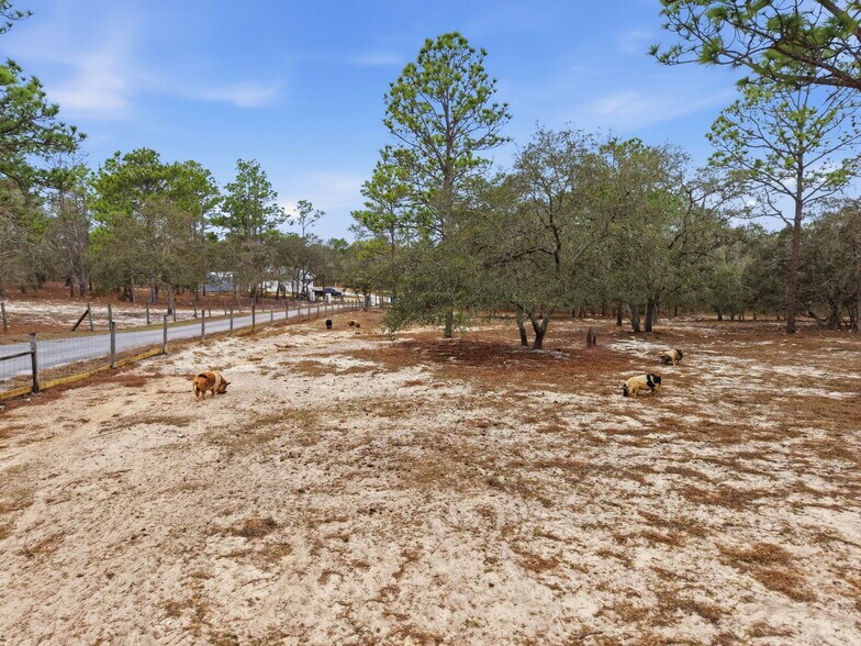 More Photos Of 12124 Squeeze Ave, Brooksville Land For Sale