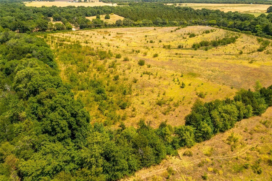 More Photos Of TBD 37 +/- acres Tract 1 County Road 4526, Randolph Land For Sale