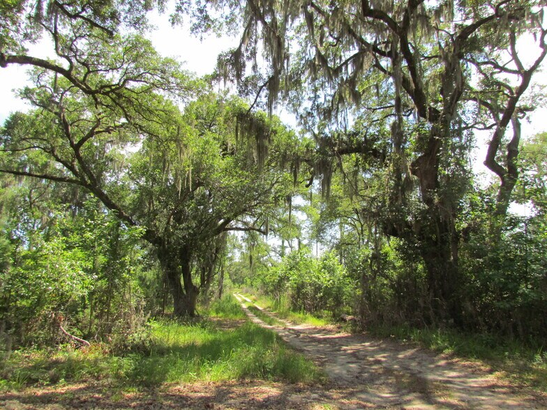 More Photos Of 214 Seabrook, Seabrook Land For Sale