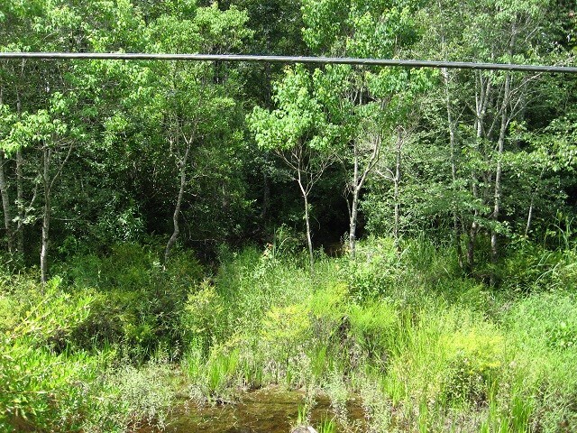 More Photos Of Railroad, Mc Lain Land For Sale