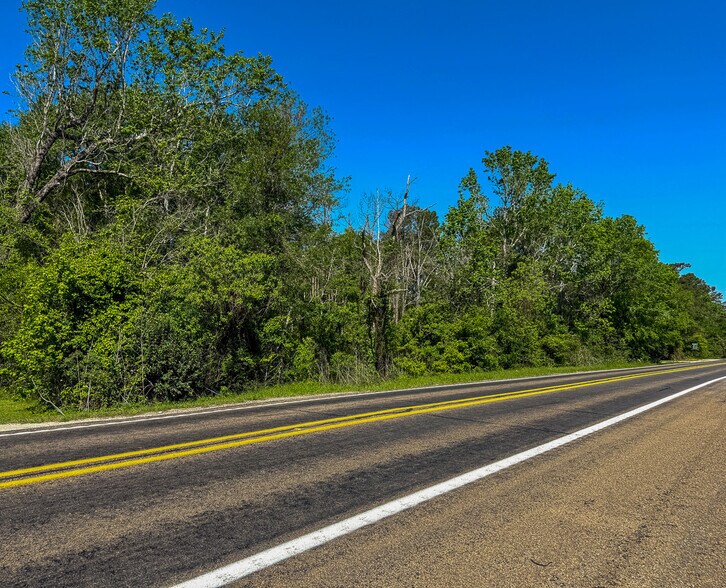 More Photos Of State Highway 75 South, Huntsville Land For Sale