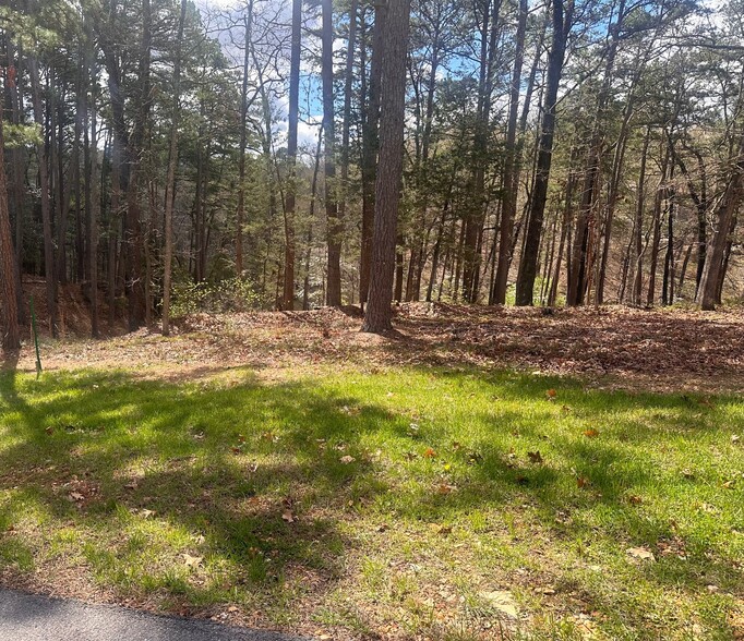 Primary Photo Of 14 Pine Crest Ln, Eureka Springs Land For Sale