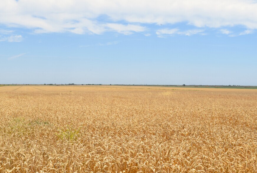 More Photos Of 16637 Tyler Island Rd, Isleton Land For Sale