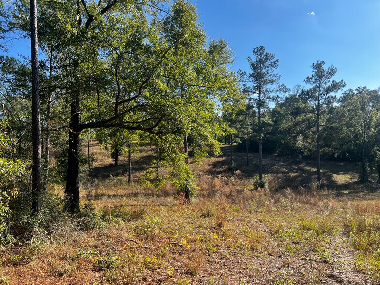 More Photos Of 0 Highway 198, Lucedale Land For Sale