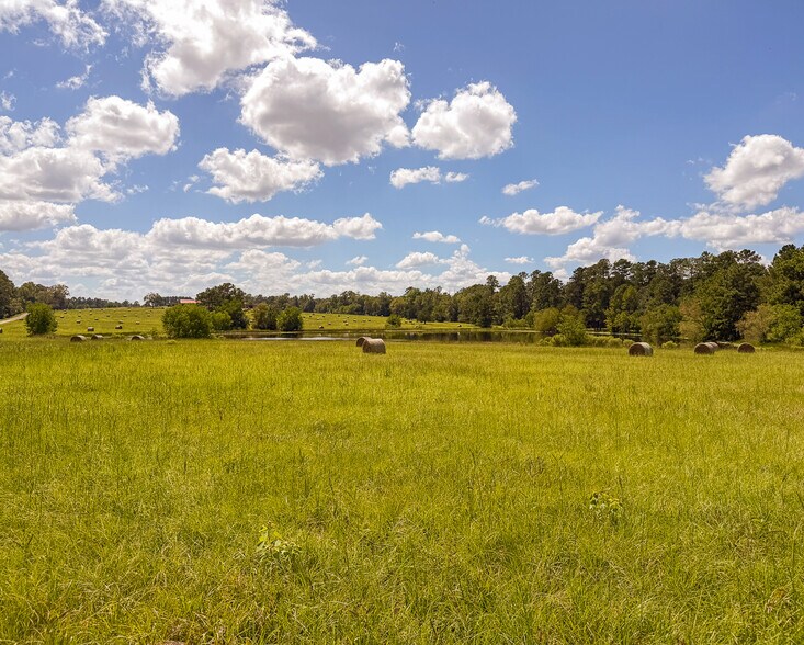 More Photos Of 567 Tamie Lowe rd, Moscow Land For Sale
