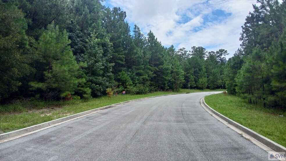 More Photos Of 130 Basswood Dr, Savannah Land For Sale