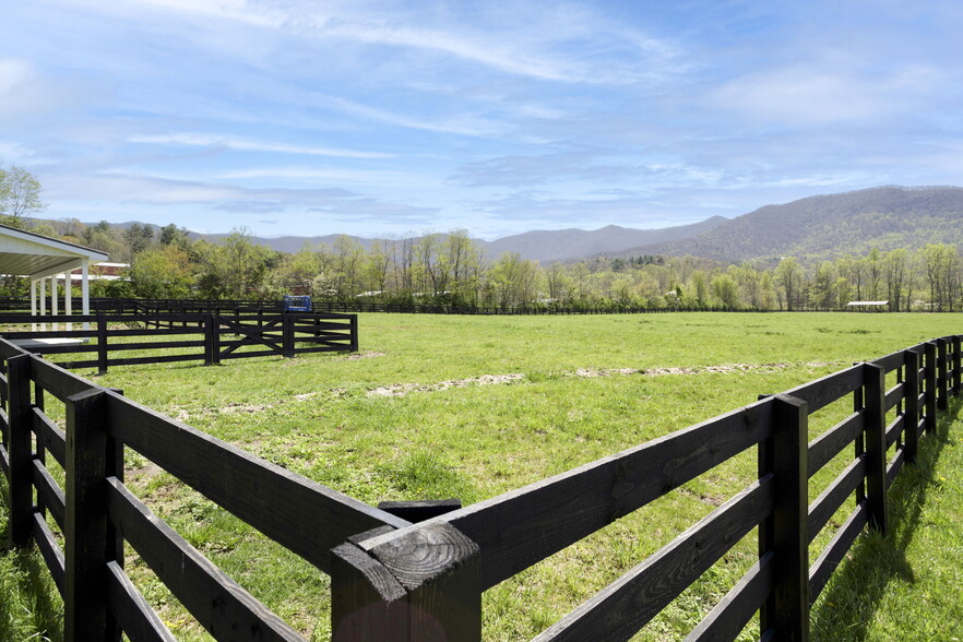 More Photos Of , Young Harris Specialty For Sale