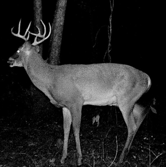 More Photos Of 1522 Burney Cemetary Rd, Calera Lodge Meeting Hall For Sale