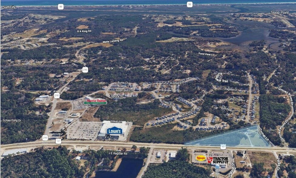 Primary Photo Of 22662 US Highway 17, Hampstead Land For Sale