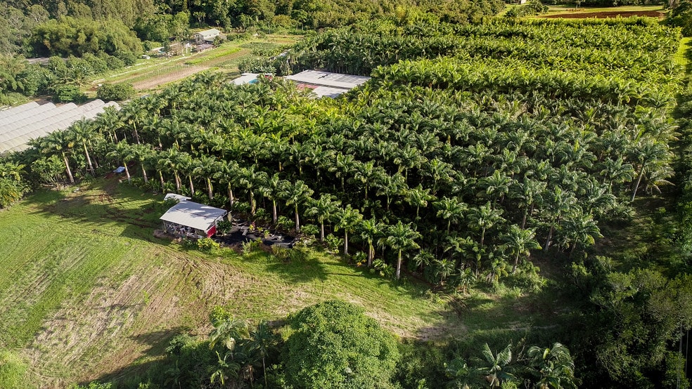 More Photos Of 27-2760 Hawaii Belt Rd, Pepeekeo Land For Sale