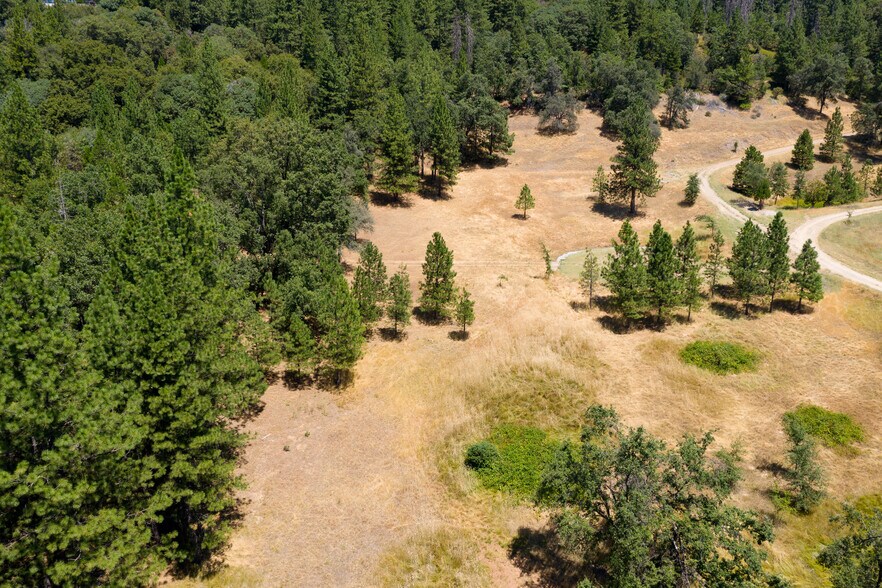 More Photos Of 25755 State Highway 88, Pioneer Land For Sale