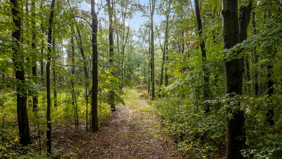 More Photos Of 5001 Babbitt Rd, New Albany Land For Sale