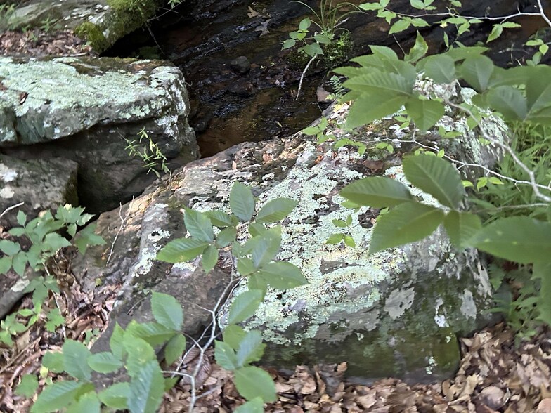 More Photos Of 2325 Six Rdg rd, Drasco Land For Sale