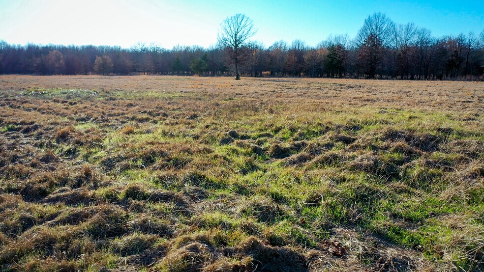 More Photos Of 1200 County 1255 rd, Detroit Land For Sale