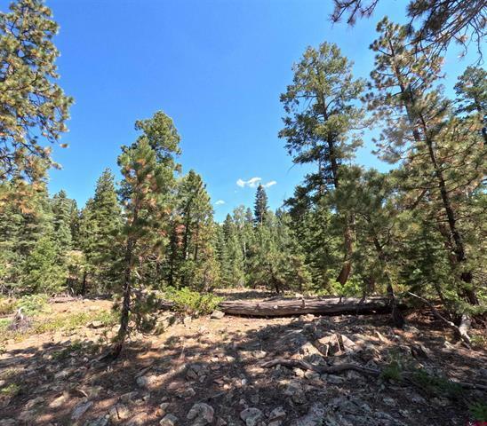 More Photos Of 48 Ponderosa Trl, Durango Land For Sale