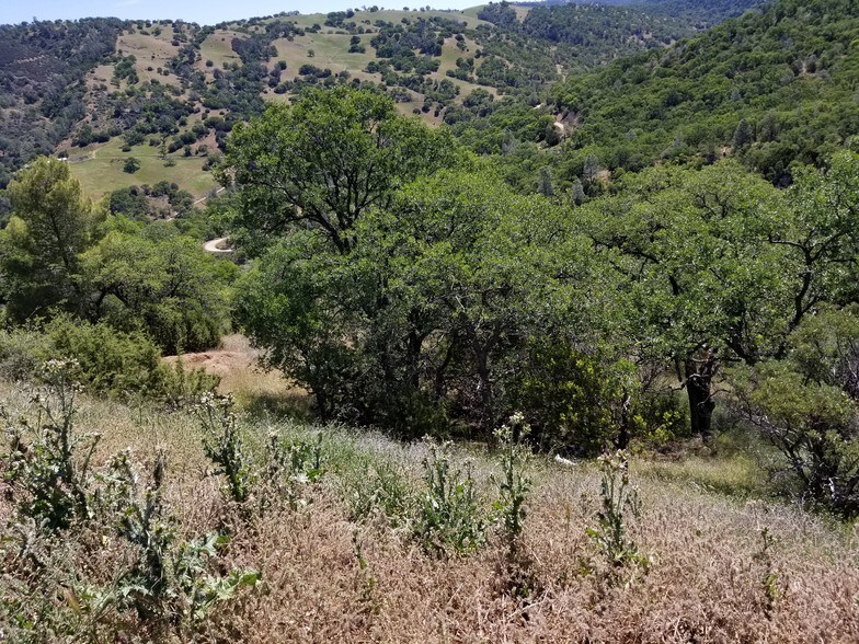More Photos Of 19019 Mines Rd, Livermore Self Storage For Sale