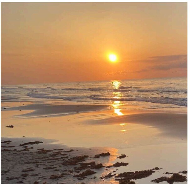 More Photos Of 12119 Bluewater Hwy, Freeport Land For Sale