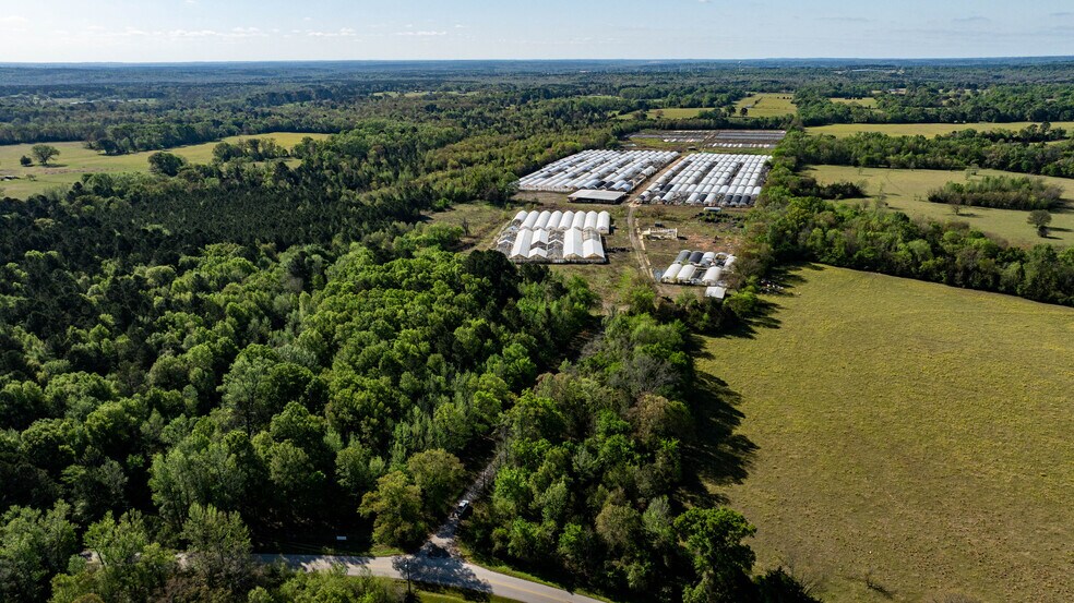 More Photos Of 11888 County Road 345, Winona Land For Sale