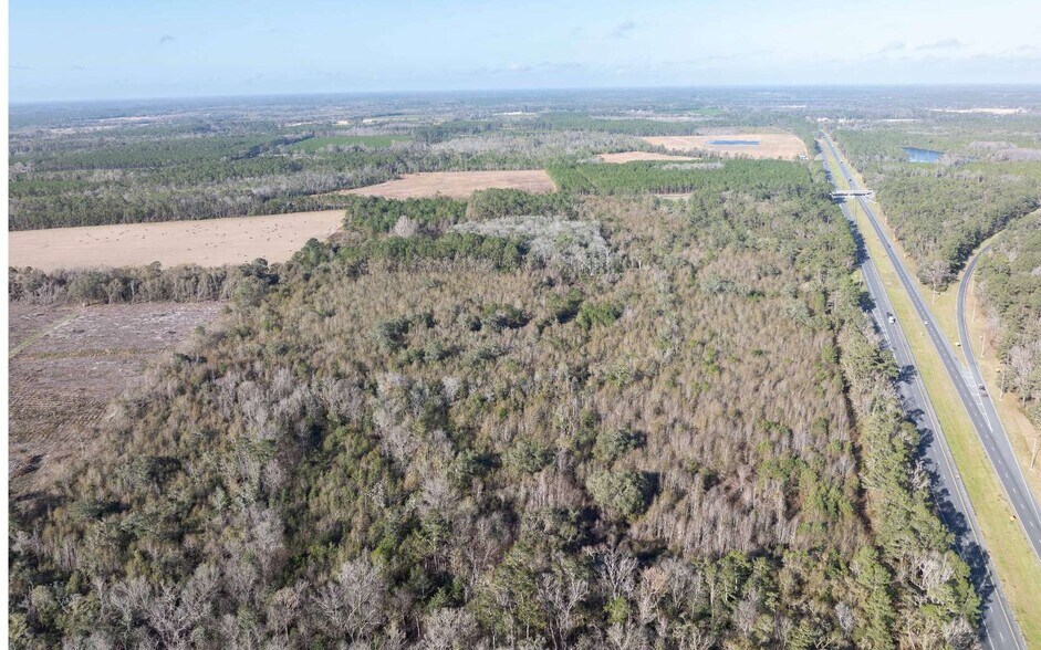 More Photos Of TBD CR 137 & I-10, Wellborn Land For Sale