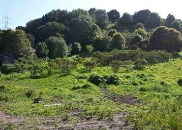 More Photos Of 6284 San Pablo Dam Rd, El Sobrante Land For Sale