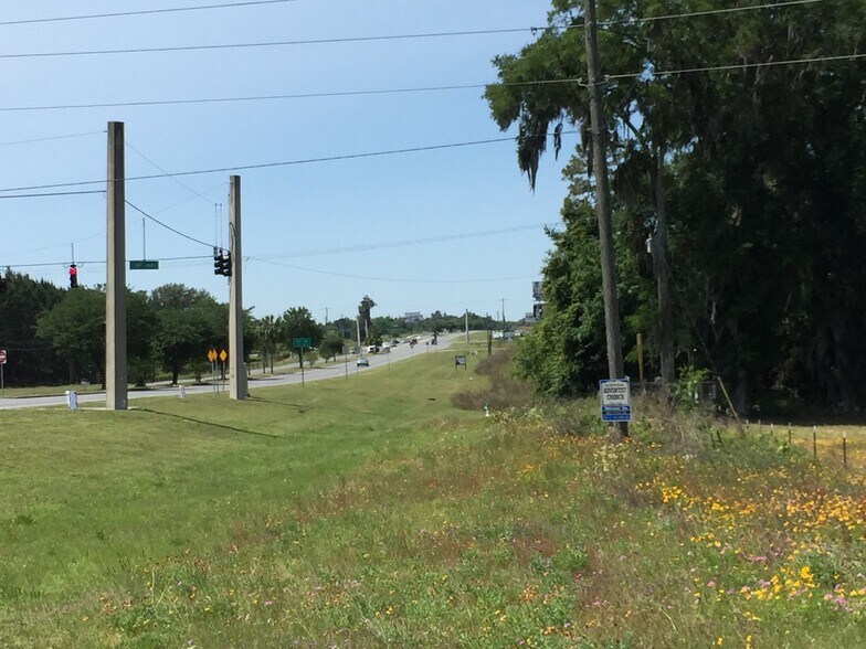More Photos Of US Hwy 129, Live Oak Land For Sale