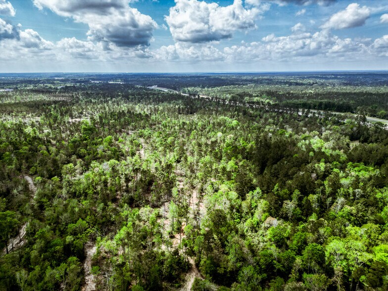 More Photos Of TBD Vick Spring Rd, New Waverly Land For Sale