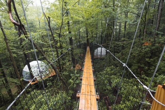 More Photos Of 242 Cave Road Holw, Rogers Hotel For Sale