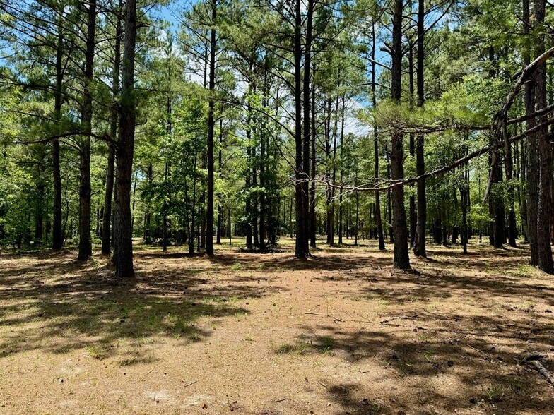 More Photos Of 241 Foskey Cemetery Rd, Adrian Land For Sale