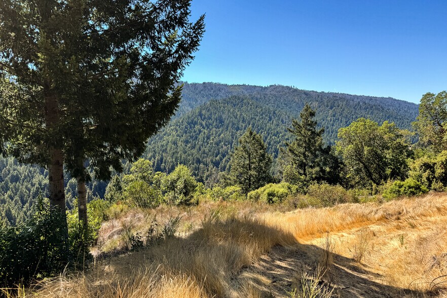 More Photos Of 1200 Roberts Rd, Ben Lomond Land For Sale