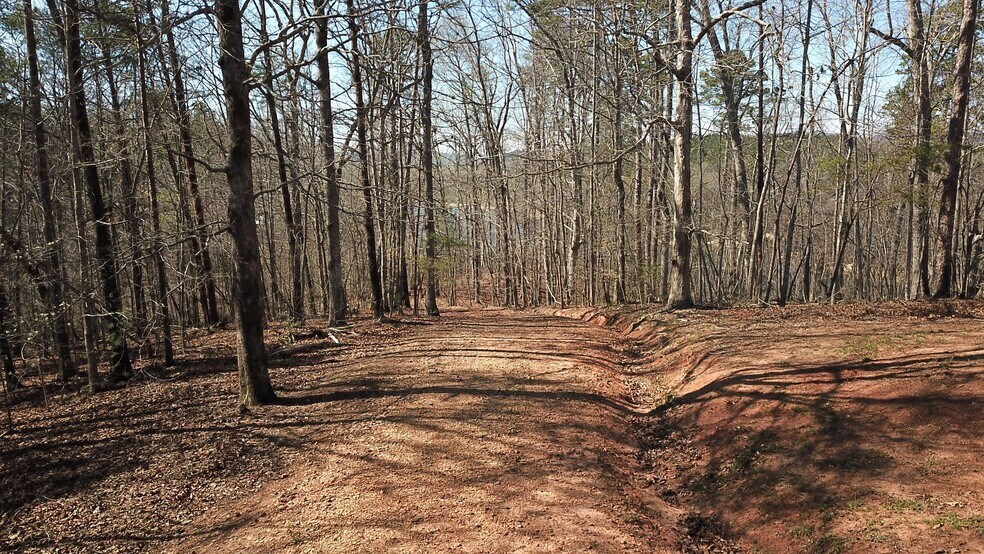 More Photos Of 333 Laurel Mountain Dr, Toccoa Land For Sale