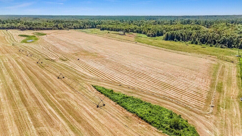 More Photos Of 1110 US Highway 280 W, Reidsville Specialty For Sale