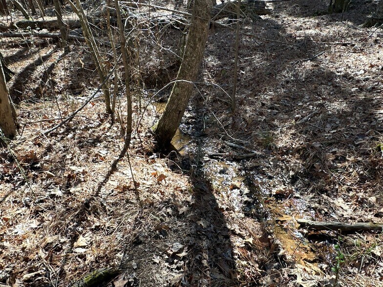 More Photos Of 3472 Prior Station Rd, Cedartown Land For Sale