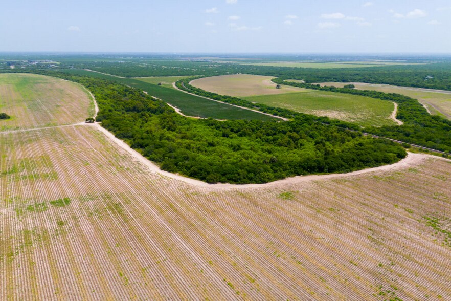More Photos Of FM 1421 Rd, Brownsville Land For Sale
