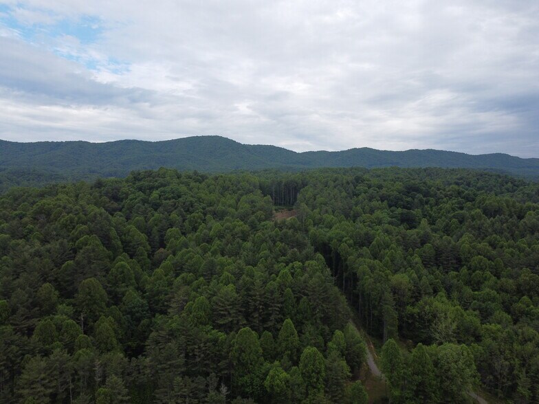 More Photos Of 6421 Highway 91 N, Laurel Bloomery Warehouse For Lease