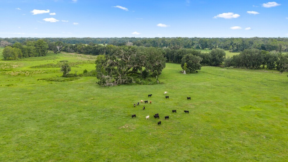 More Photos Of CR 774, Webster Land For Sale