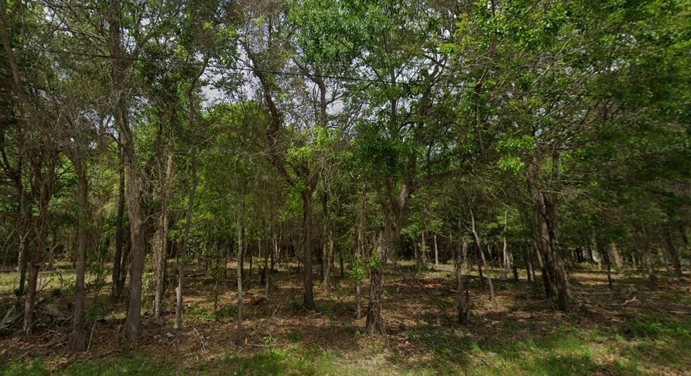 More Photos Of 00 Gibson Rd, Athens Land For Sale