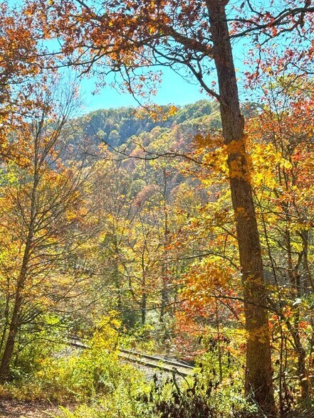 More Photos Of 0 Sewell Creek Rd, Meadow Bridge Land For Sale