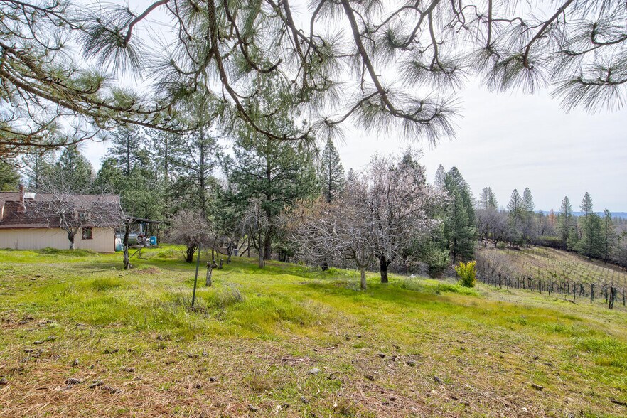 More Photos Of 4771 Greenhills Rd, Placerville Winery Vineyard For Sale