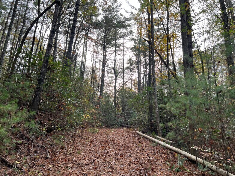 More Photos Of Whitecliff Drive, Ellijay Land For Sale
