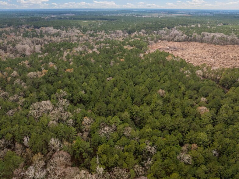 More Photos Of TBD 11 acres Tatoo Rd, Glenmora Land For Sale